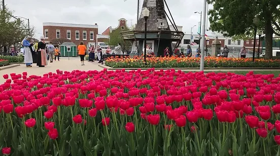 pella-tulip-festival-des-moines