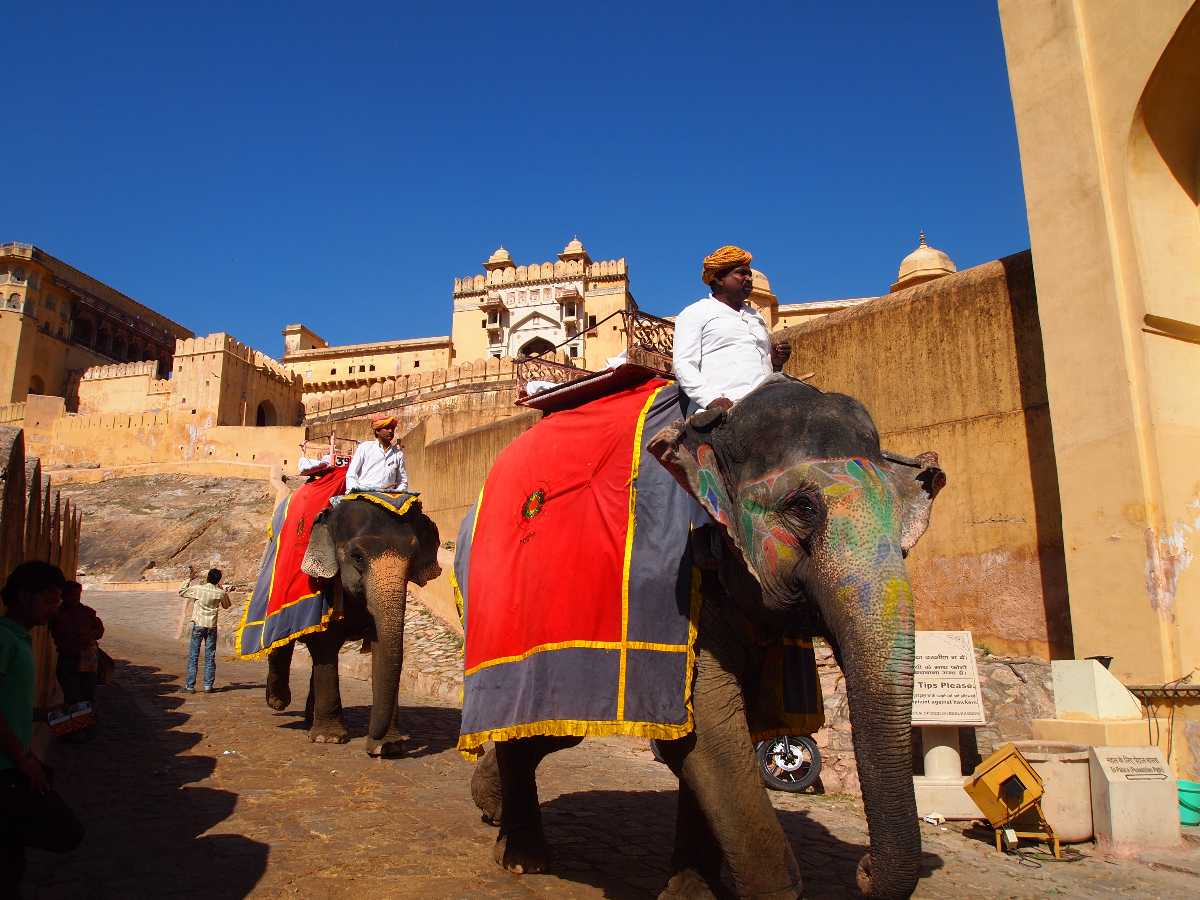 amer fort