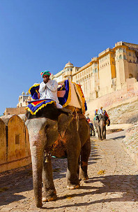 amer fort