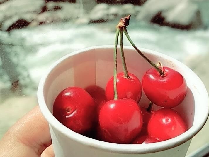Delicious Cherries of Manali
