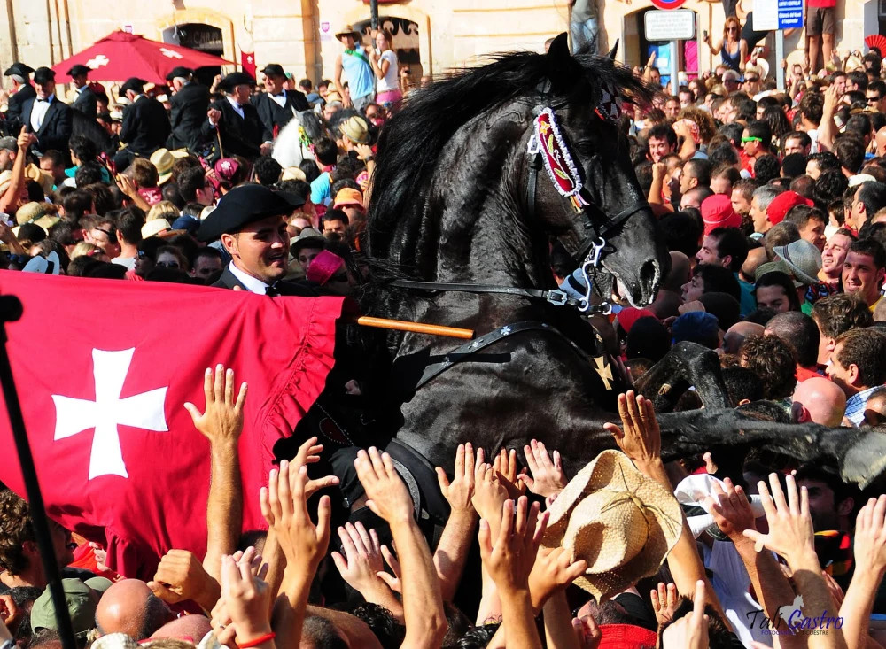 A Parade of Horses at a Festival in Spain
