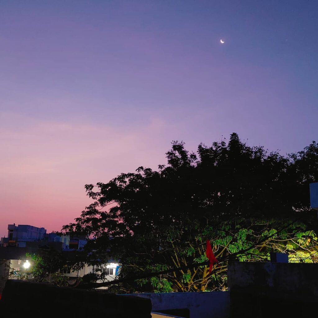 Dawn in Indore from the Writer’s terrace.