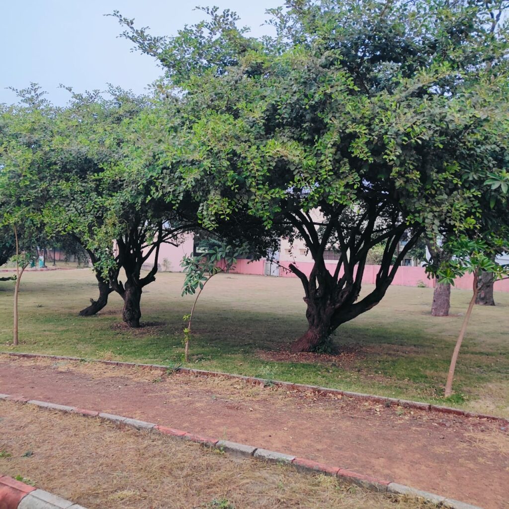 Colony Park, Indore