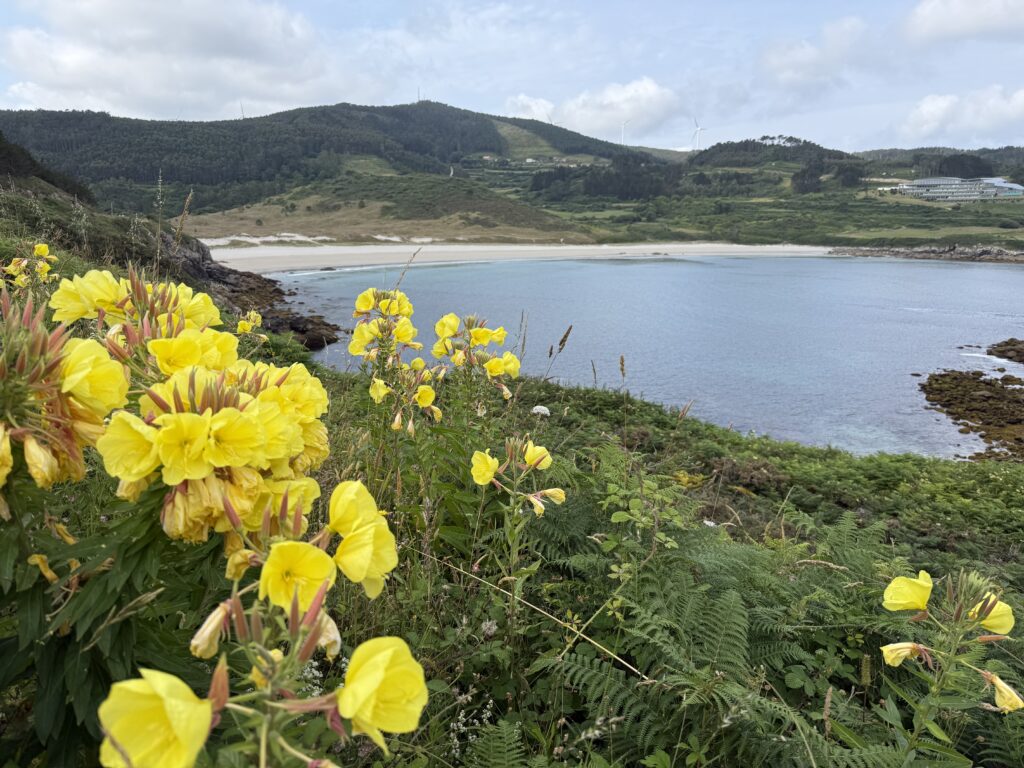 camino-finisterre-Muxia-bay