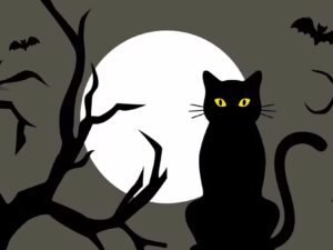 black cat superstition