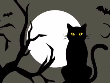 black cat superstition